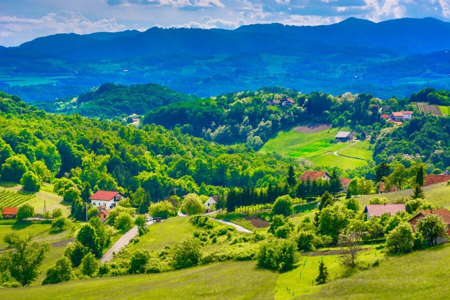 From Zagreb: Fairytale Castle & Wine Tasting & Lunch - Lunch in the countryside: where the day turns from good to memorable
