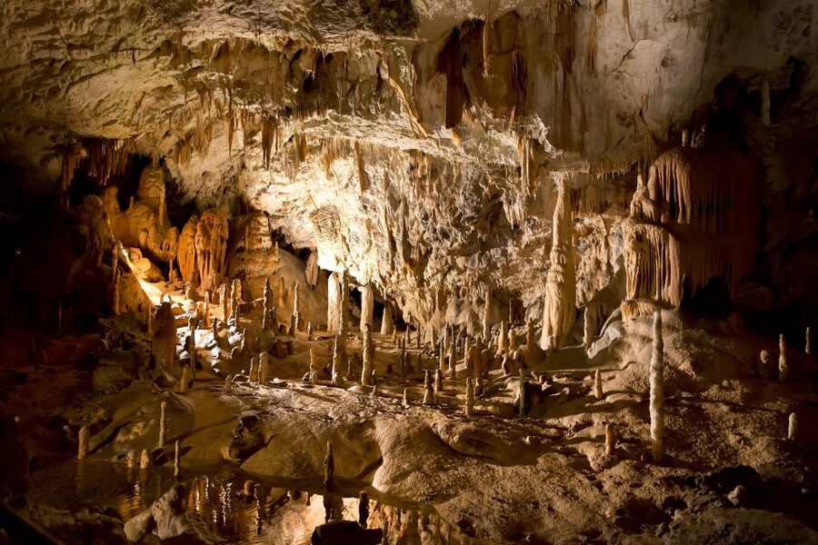 From Zagreb: Ljubljana, Postojna Cave & Predjama Castle Tour - Pickup, Van Comfort, and Border Reality