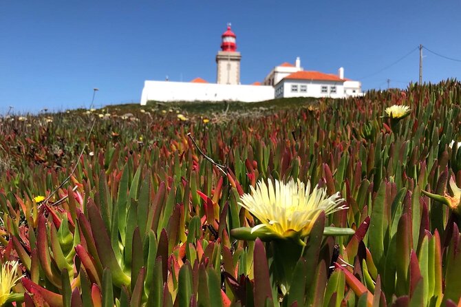 Full Day Tour: Sintra, Pena Palace, Cabo da Roca, Cascais - Group size, pace, and the morning start in Lisbon
