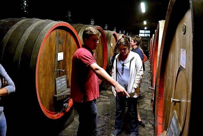 Full-Day Tuscany Castles Tour with Wine Tasting from Florence - Why the guide changes everything (Hillary, Matteo, and a real sommelier vibe)