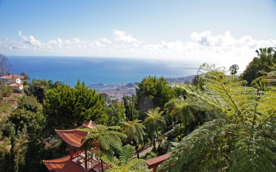 Funchal: Monte Palace Tropical Gardens Tuk Tuk Tour - Tuk Tuks and Madeira: Why this ride format works