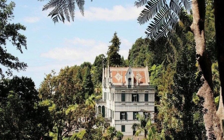 Funchal: Monte Palace Tropical Gardens Tuk Tuk Tour - Viewpoint breaks over Funchal: the photos are the easy part