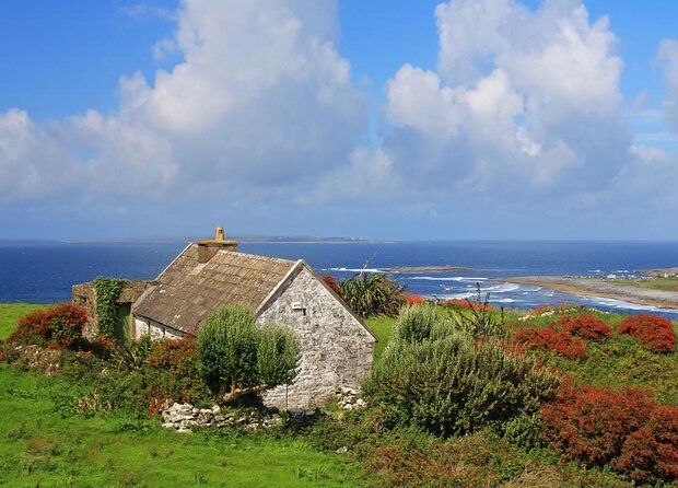 Galway to Cliffs of Moher, Aillwee Cave & Dunguaire Castle Tour - Why This Galway to Cliffs Day Trip Works (Wild Atlantic Way in one go)