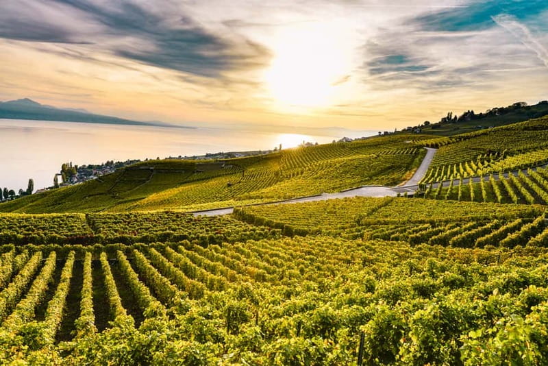 Geneva: Montreux, Chaplin’s World, Chillon Castle & Apéritif - A Geneva-to-Montreux day built around three icons