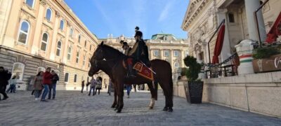 German guided tour through Budapest's castle district - Meeting at the Vienna Gate: you start with the right orientation
