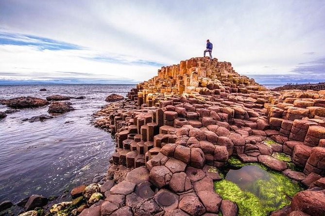 Giant's Causeway Tour from Belfast - Luxury Bus + Castles Tour - Dark Hedges: The Photo Stop That Can Save Your Day