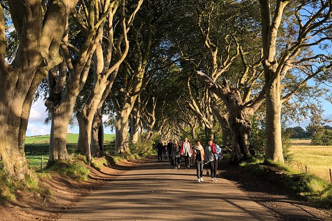 Giants Causeway, Rope Bridge, Carrickfergus Castle and Dark Hedges Tour - Dark Hedges: Game of Thrones Trees and a Traditional Pub Lunch