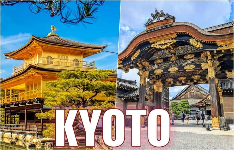 Golden Pavilion, Nijo Castle, & Nishiki Market Half day tour - Nijo Castle: samurai politics you can hear under your feet