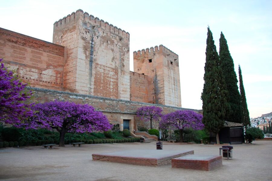 Granada: Alhambra and Charles V Palace Tour - Key highlights you should care about