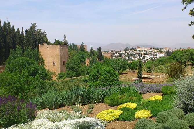 Granada Full Day Tour From Malaga - Comfort Notes: Shoes, Walking Pace, and Getting Through the Day