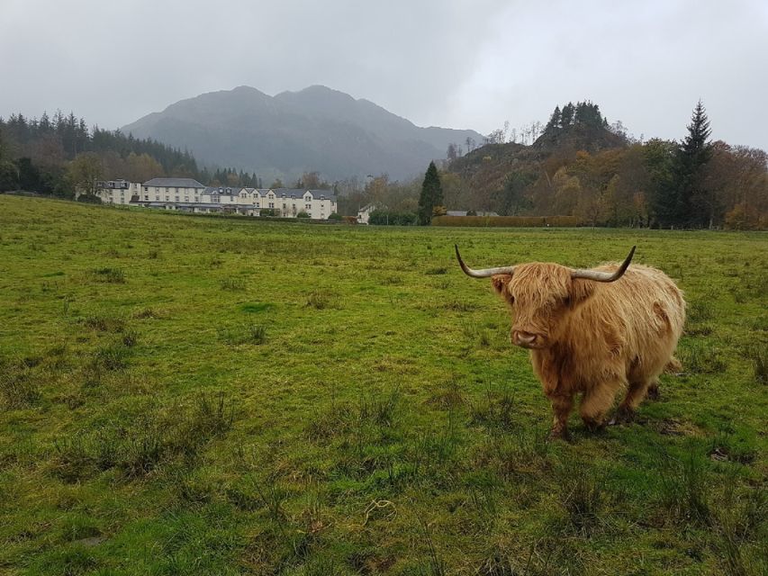 Greenock: Shore Excursion to Stirling Castle and Loch Lomond - From Greenock Port to the Trossachs: the drive you actually pay for