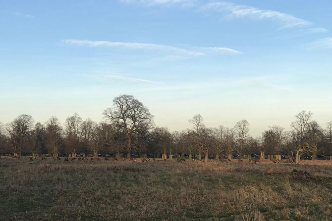 Hampton Court Palace Grounds Bike Tour - Key points to know before you go