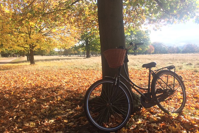 Hampton Court Palace Grounds Bike Tour - Stop 2: Bushy Park on a bike (deer, WW2 traces, and space to breathe)