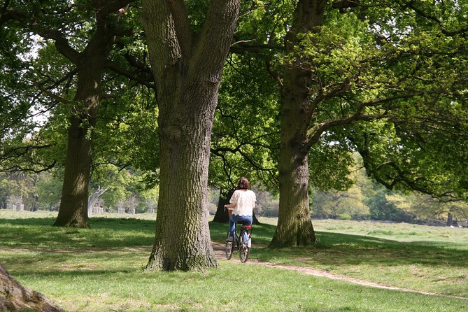 Hampton Court Palace Grounds Bike Tour - Bikes, helmets, and comfort: what to expect (and how to handle concerns)