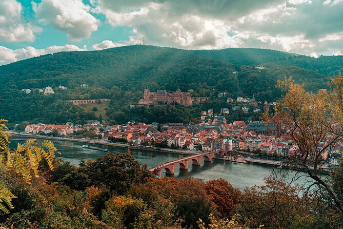 Heidelberg Castle and City Day Tour from Frankfurt - Key things to know before you go