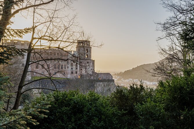 Heidelberg Castle and City Day Tour from Frankfurt - The Frankfurt to Heidelberg rhythm: a short day that stays organized