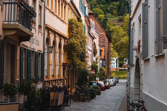 Heidelberg Castle and City Day Tour from Frankfurt - Price and what you’re really paying for (including hidden extras to watch)
