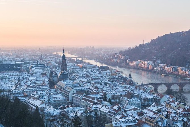 Heidelberg Castle and Old Town Tour from Frankfurt - Price and value: does $154.99 make sense?