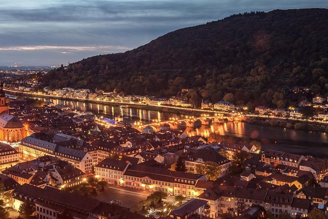 Heidelberg Castle and Old Town Tour from Frankfurt - Who should book this tour (and who should skip it)