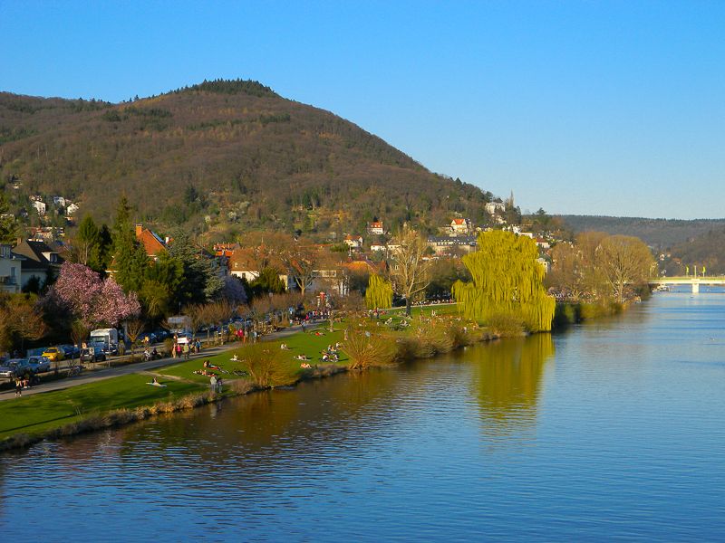 Heidelberg Castle Tour: Residence of the Electors - Bushel Terrace views: the overlook you’ll remember later