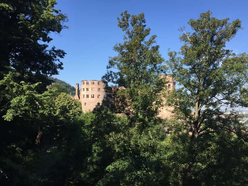 Heidelberg: Discover Heidelberg Castle – experience history up close - How the Pace Feels on the Ground (and What to Watch For)