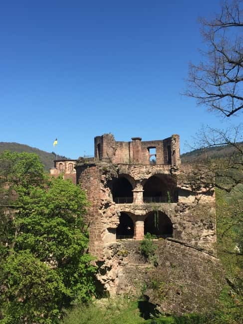 Heidelberg: Discover Heidelberg Castle – experience history up close - Who This Tour Suits Best