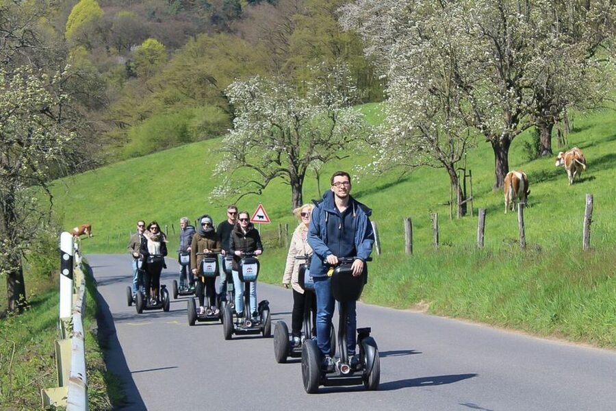 Heidelberg Highlights Segway Tour with Castle - Neckarmünzplatz to the Old Bridge: your quick start into Heidelberg