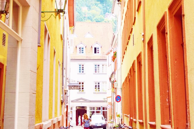 Heidelberg - Old Town tour Including Castle visit - Choosing the right guide energy for your group