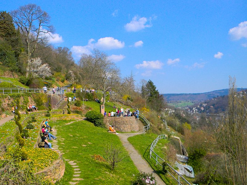 Heidelberg: Private 3-Hour Tour with Castle Visit - Philosopher’s Walk: The Viewpoint Stop That Makes the Whole Town Click