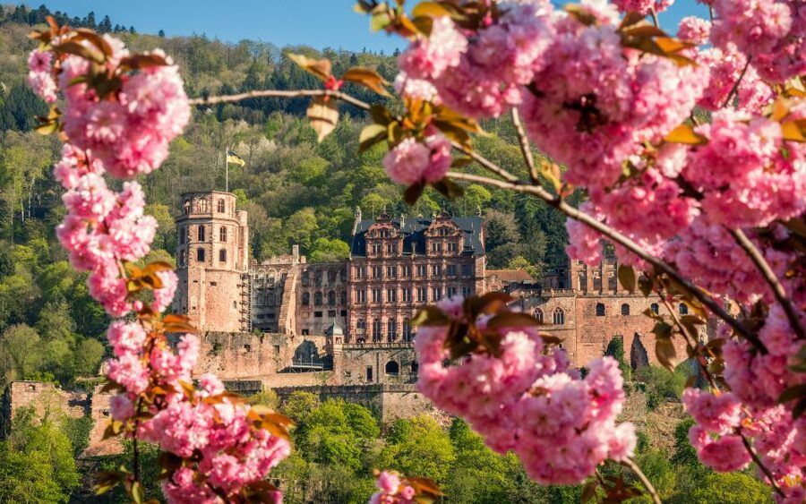 Heidelberg: Sightseeing Bus and Castle Tour - Quick highlights you’ll actually care about