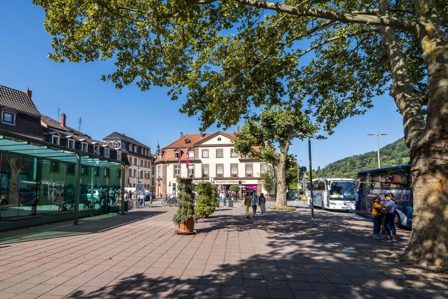 Heidelberg: Sightseeing Bus and Castle Tour - Why a 2-hour bus + castle grounds tour works so well in Heidelberg