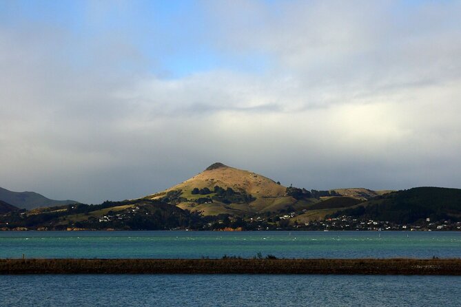 Heritage City and Larnach Castle Van tour with Historian Guide - Dunedin Railway Station: Royal Doulton tiles and a foyer worth slowing down for