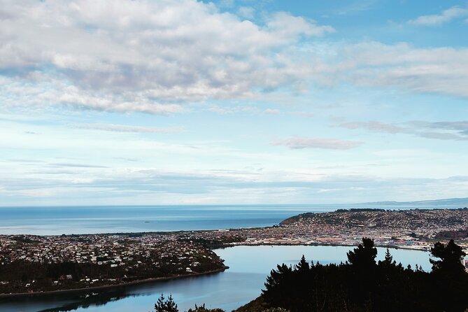Heritage City and Larnach Castle Van tour with Historian Guide - Queens Gardens and High Street: war memory and the Devil’s Half Acre