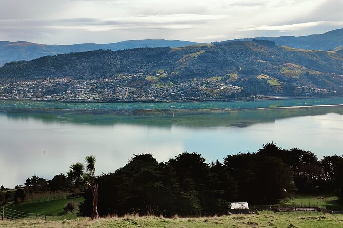 Heritage City and Larnach Castle Van tour with Historian Guide - Luna Bar lunch on Highgate: cliff views, good food, and a local-business vibe