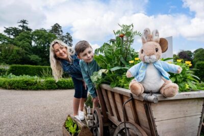 Hillsborough Castle Gardens Entrance Ticket - The 100 Acres Experience: From Ornamental Grounds to Woodland Calm