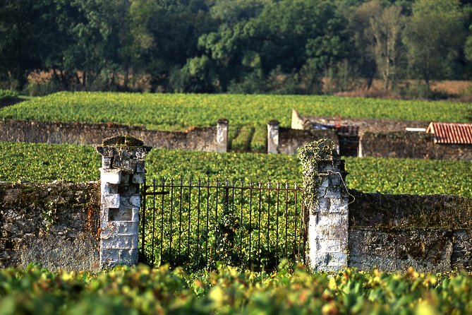 Incredible Loire castles tour with lunch and a vineyard visit - Price and value: what $334.32 buys you in real terms