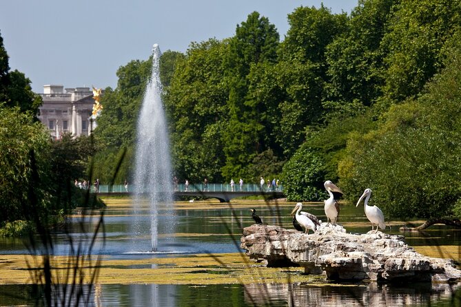 Inside Buckingham Palace State Rooms & Royal London Walking Tour - Value check: is $95.08 a fair deal?