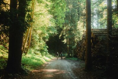Interlaken Valley E-Bike Tour: Rivers, Lakes, Forests & Castles - The Aare River glide: turquoise water and an easy warm-up