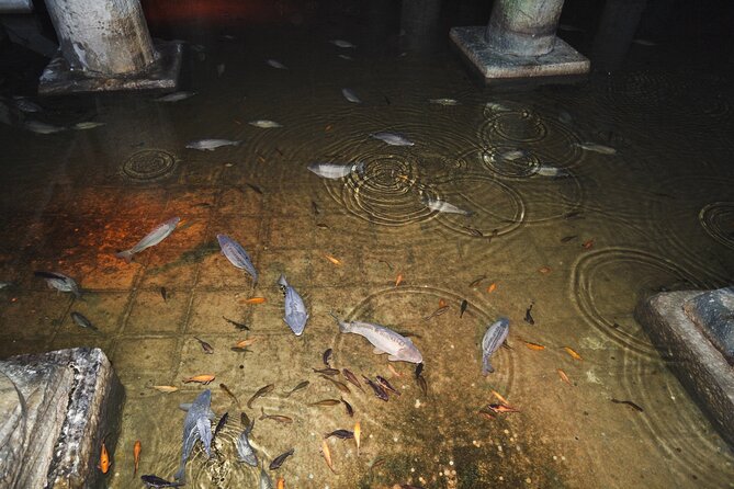 Istanbu City Walk: Topkapi Palace, Harem, & Basilica Guided Tour - Where You Meet: Sultanahmet’s Fountain Spot and What to Plan