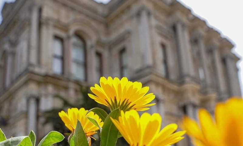 Istanbul: Beylerbeyi Palace Skip-the-Line Ticket & Audio … - Should you book it?