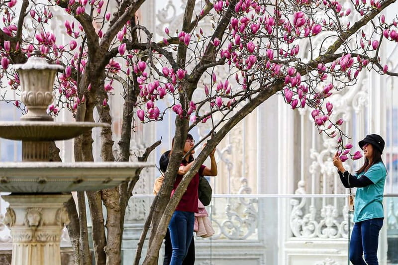 Istanbul: Dolmabahce Palace and Harem Fast-Track & Audio - No Photos Inside: How to Get the Value Without Filming Everything