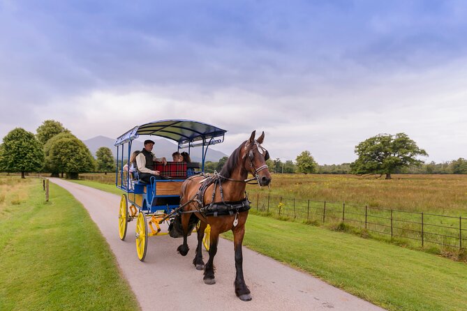 Killarney Jaunting Car Tour- Park to Castle - Red deer, lake views, and the kind of scenery cars can’t reach