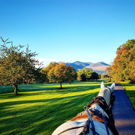 Killarney Jaunting Car Tour- Park to Castle - Driver storytelling: the eras behind Ross Castle