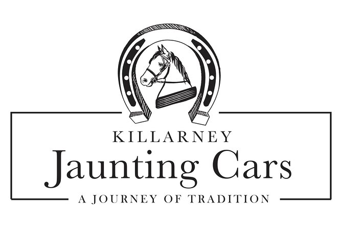 Killarney Jaunting Car Tour- Park to Castle - Comfort and weather tips that make a difference