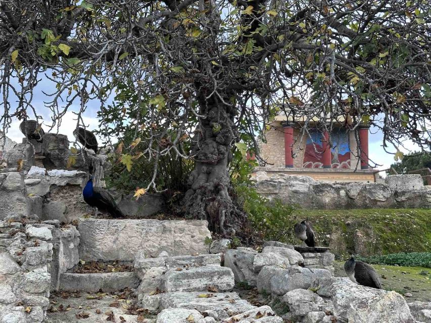 Knossos Palace Skip-the-Line Ticket & Private Guided Tour - What to Wear, Bring, and Leave at Home