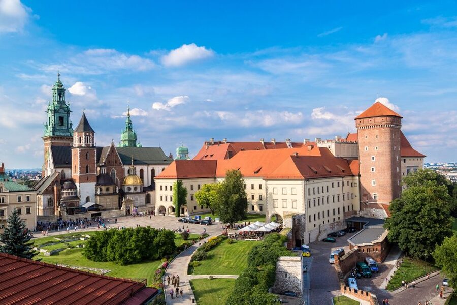 Krakow: Wawel Castle and Cathedral Guided Tour - Skip-the-line entry: what it changes for your day