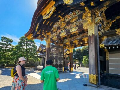 Kyoto: Imperial Palace & Nijo Castle Guided Walking Tour - Nijo Castle: where the shogun-era details show up fast