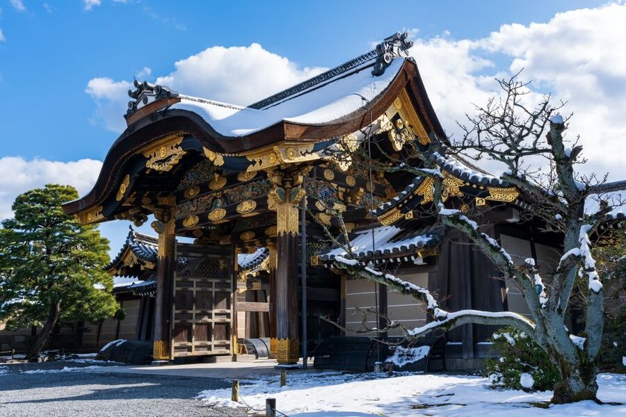 Kyoto: Imperial Palace & Nijo Castle Guided Walking Tour - The guide experience: why it can feel better than solo sightseeing