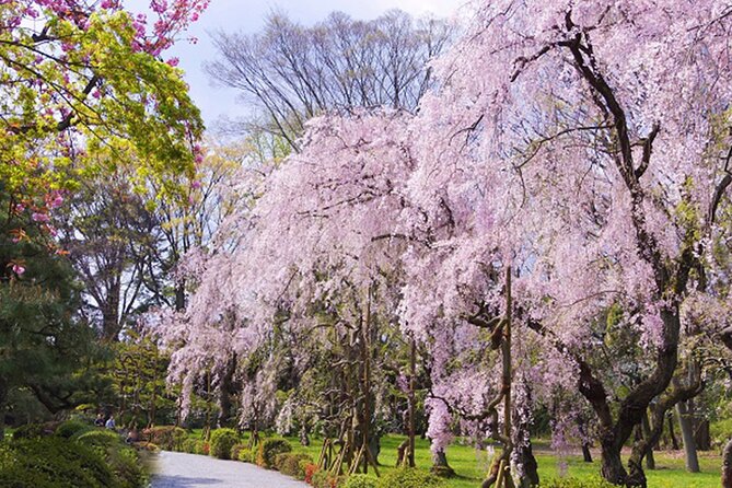 Kyoto: Nijo Castle World Heritage Guided Tour with Admission - Timing Tips: Footwear Rules and Winter Comfort