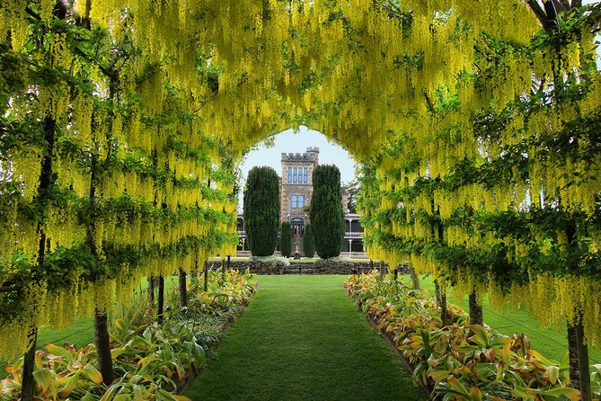 Larnach Castle and Gardens Admission Ticket - Inside the castle: what the written guides help you notice